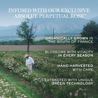 Absolue Soft Cream Moisturizer