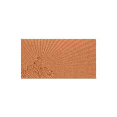 Star Bronzer Powder